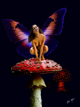 Illustration for article titled Girl Faeries